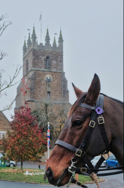 Cadeau George at the Field of Remembrance