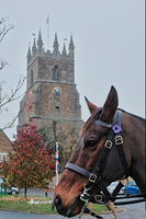 Cadeau George at the Field of Remembrance